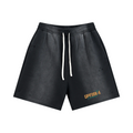 Sun Fade Distressed Shorts