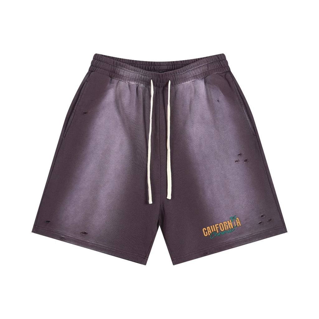 Sun Fade Distressed Shorts